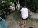img0031.jpg