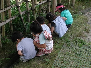 img0006.jpg