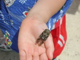 img0008.jpg