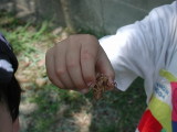 img0009.jpg