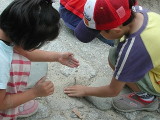 img0013.jpg
