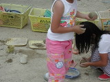 img0017.jpg