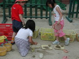 img0019.jpg