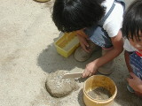 img0020.jpg