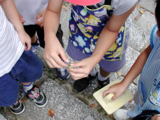img0007.jpg