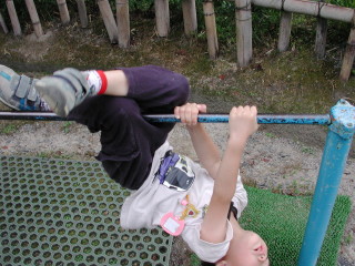 img0012.jpg