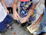 img0007.jpg