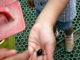 img0009.jpg