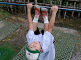 img0010.jpg