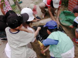 img0024.jpg