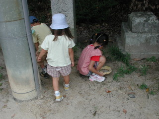 img0010.jpg