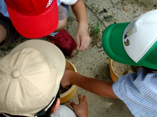 img0013.jpg