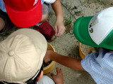 img0013.jpg