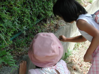 img0009.jpg