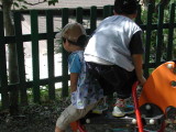 img0012.jpg