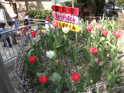 img0017.jpg