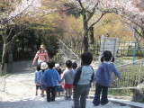 img0008.jpg