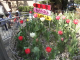 img0015.jpg