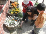 img0010.jpg