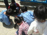 img0011.jpg
