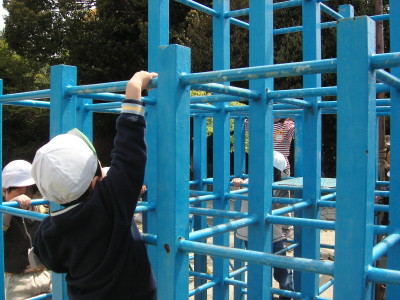 img0010.jpg