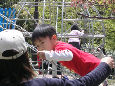img0041.jpg