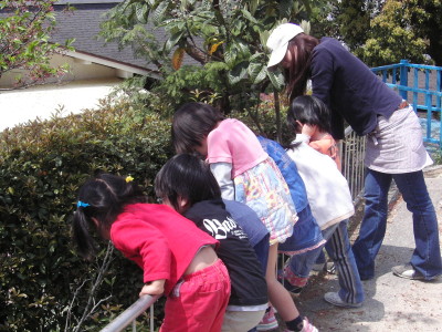 img0043.jpg