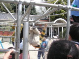 img0021.jpg