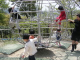 img0038.jpg