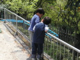 img0040.jpg