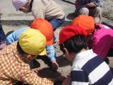 img0003.jpg