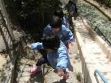img0005.jpg