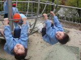 img0015.jpg