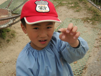 img0000.jpg