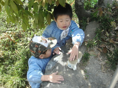 img0018.jpg
