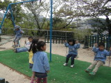 img0020.jpg