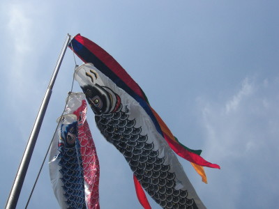 img0000.jpg
