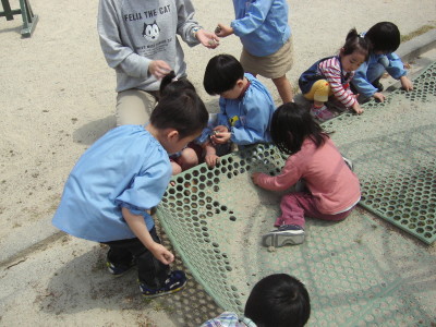 img0022.jpg