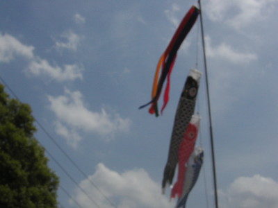 img0029.jpg