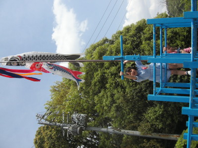 img0031.jpg