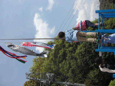 img0035.jpg