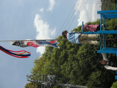 img0036.jpg