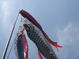 img0000.jpg