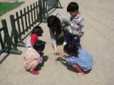 img0004.jpg