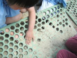 img0019.jpg