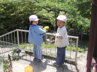 img0009.jpg