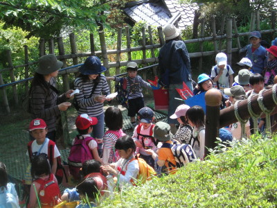 img0041.jpg