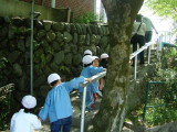 img0000.jpg