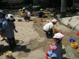 img0013.jpg