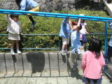 img0025.jpg